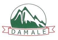 Trademark DAMALE + Logo