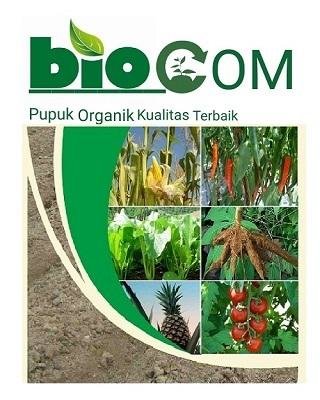 Trademark Bio Com dan Lukisan