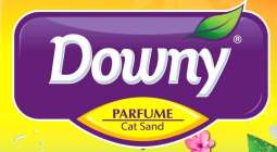 Trademark Downy