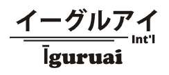 Trademark IGURUAI INT'L