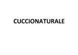 Trademark CUCCIONATURALE