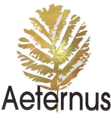 Trademark AETERNUS