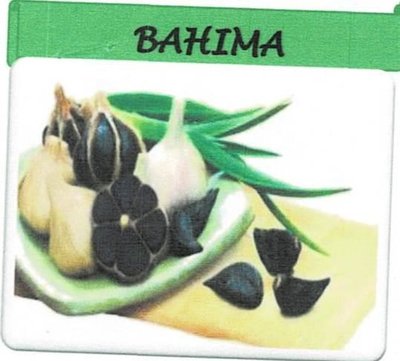 Trademark BAHIMA + Lukisan/ Logo