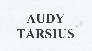 Trademark AUDY TARSIUS