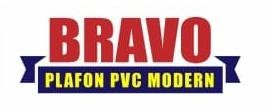 Trademark BRAVO