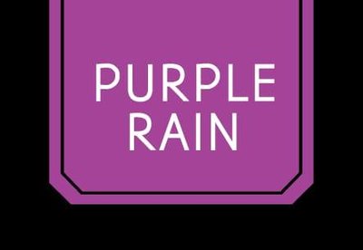 Trademark PURPLE RAIN