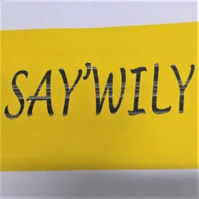 Trademark SAY'WILY