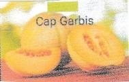 Trademark GARBIS DAN LOGO