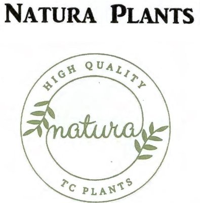 Trademark NATURA PLANTS + Lukisan