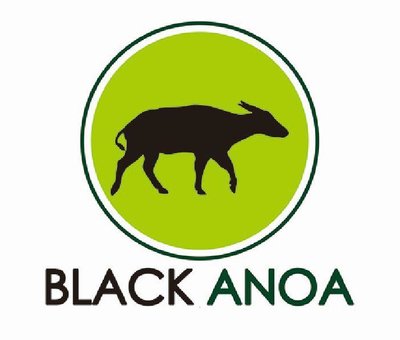 Trademark BLACK ANOA + LUKISAN