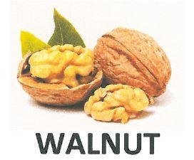 Trademark WALNUT + Logo