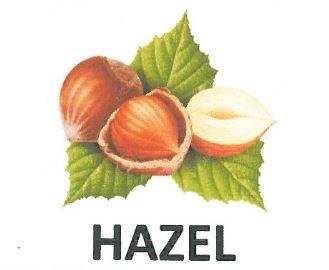 Trademark HAZEL + Logo