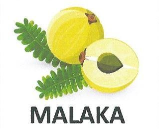 Trademark MALAKA + Logo