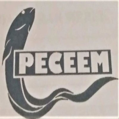 Trademark PECEEM