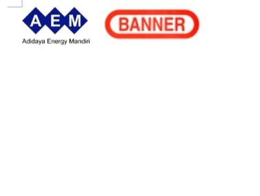 Trademark AEM BANNER