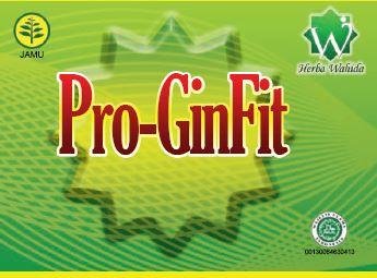 Trademark PRO-GINFIT + LUKISAN