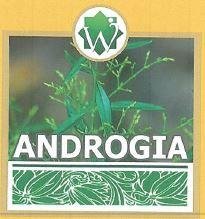 Trademark ANDROGIA + LUKISAN