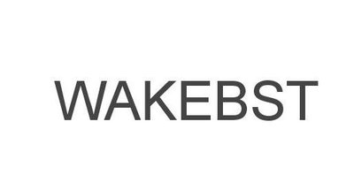 Trademark WAKEBST