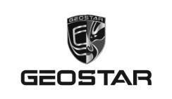 Trademark GEOSTAR stylized + Design