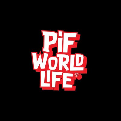 Trademark PIF WORLD LIFE