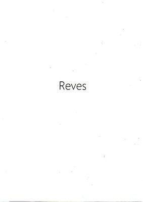 Trademark Reves