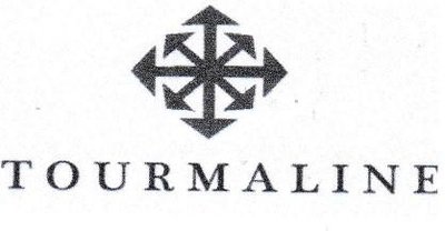 Trademark TOURMALINE DAN LOGO