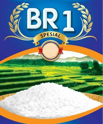 Trademark BR1 SPESIAL