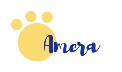 Trademark AMERA