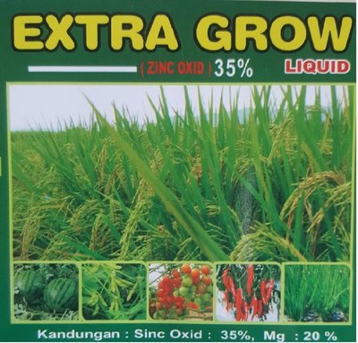 Trademark EXTRA GROW