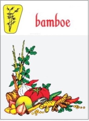 Trademark bamboe