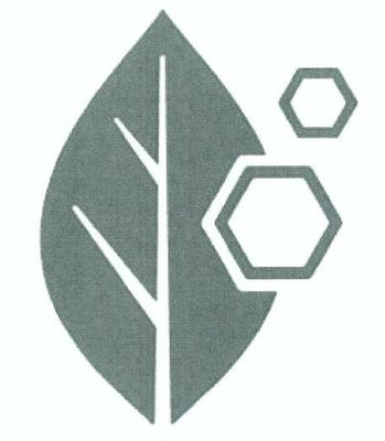 Trademark Logo Hexagons Indents Leaf