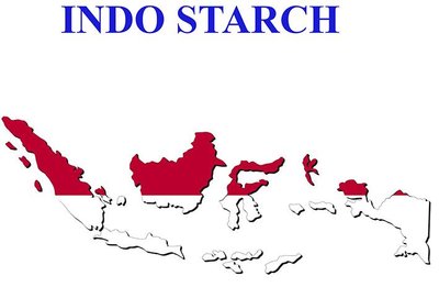 Trademark INDO STARCH