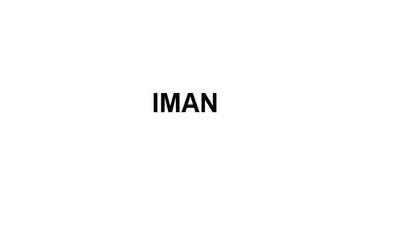 Trademark IMAN