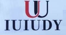 Trademark IUIUDY DAN LUKISAN