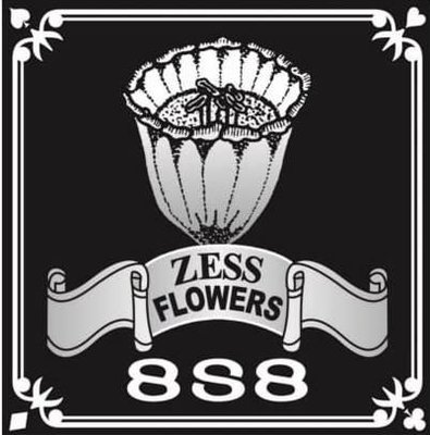 Trademark ZESS FLOWER 8S8 DAN LOGO