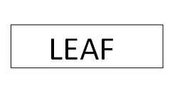 Trademark LEAF