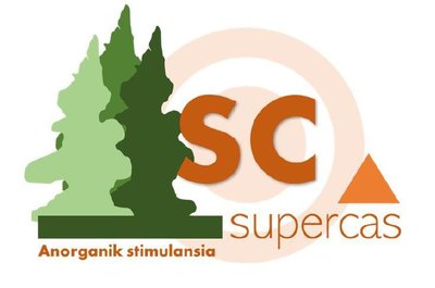 Trademark SUPERCAS + lukisan