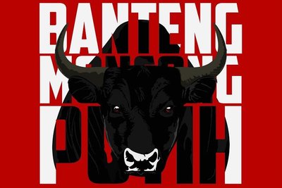 Trademark banteng moncong putih