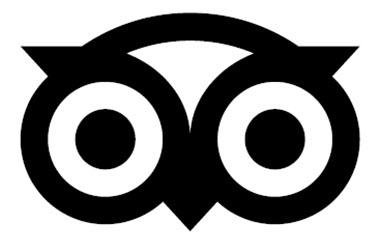 Trademark Owl Design