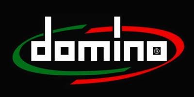 Trademark DOMINO + LOGO