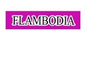 Trademark FLAMBODIA