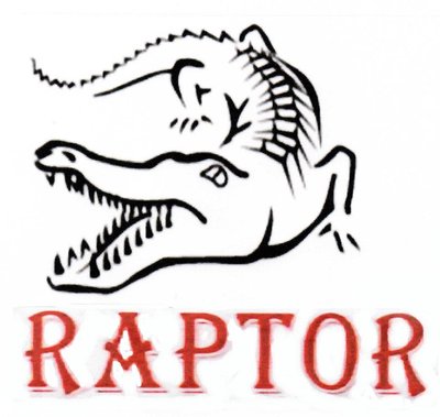 Trademark RAPTOR