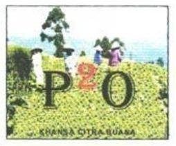 Trademark P2O DAN LUKISAN