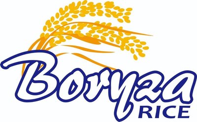 Trademark BORYZA