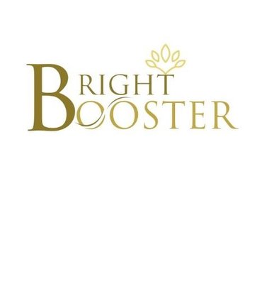 Trademark BRIGHT BOOSTER