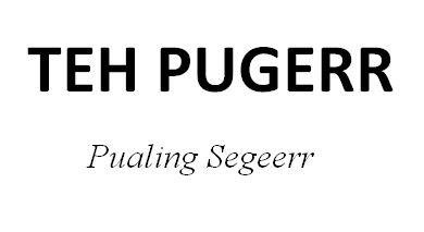 Trademark TEH PUGERR