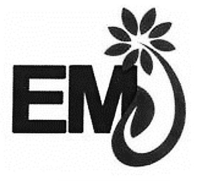 Trademark EMJ + LOGO