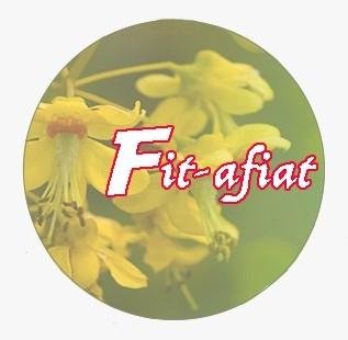 Trademark Fit-afiat