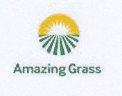 Trademark AMAZING GRASS SUNRISE Logo