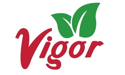 Trademark VIGOR